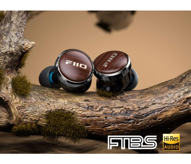 FiiO FP3 Rosewood Type-C - 1455650 - zdjęcie 4